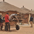 OHMI Téssékéré